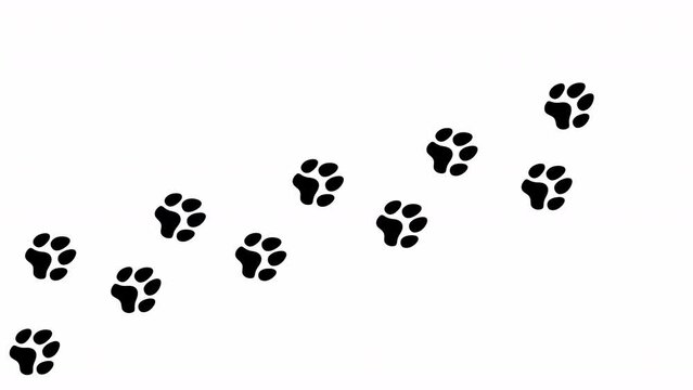 Animation: a trail of black footprints (comics silhuoette shapes) on a white background, a dog walking alone on a path going from left to right.
