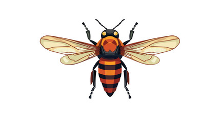 Fototapeta na wymiar Drawing bee fly on white background vector