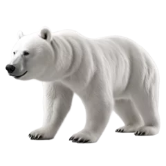 Foto op Canvas White bear isolated on transparent background © avero