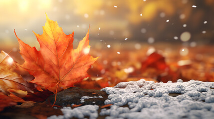 A seasonal style with snowflakes autumn leaves