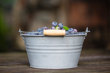 Fresh blueberries on the garden table