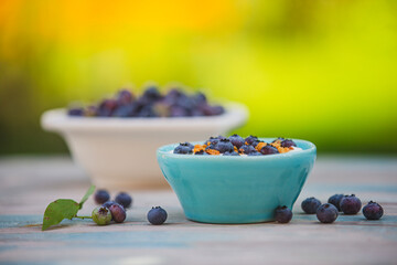 Yogurt with granola and  fresh blueberries on the garden table