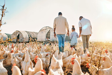 Holding hands, gay couple and chicken with black family on farm for agriculture, environment and...