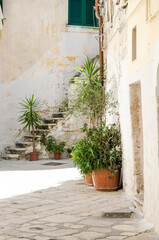 Italian patio with steps and flowers stock photo