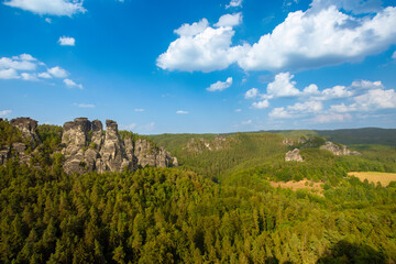 Elbsandsteingebirge in saxonia with tree in foreground