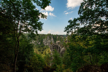 Elbsandsteingebirge in saxonia with tree in foreground