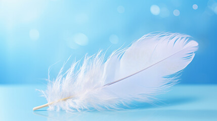 A bright blue background with one white feather