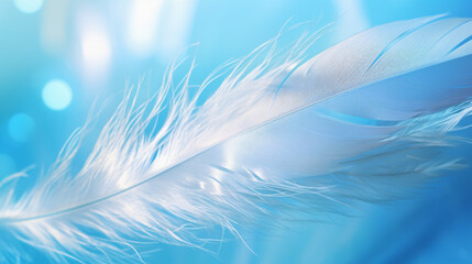 Fototapeta na wymiar A bright blue background with one white feather