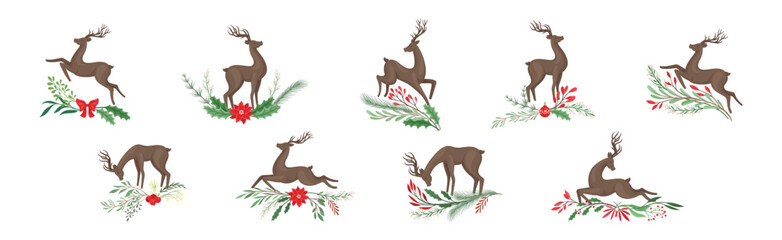 Young Brown Deer with Antlers and Winter Twigs Vector Set
