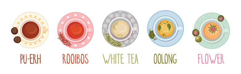 Different Herbal Tea Brewing in Cup Above View Vector Set