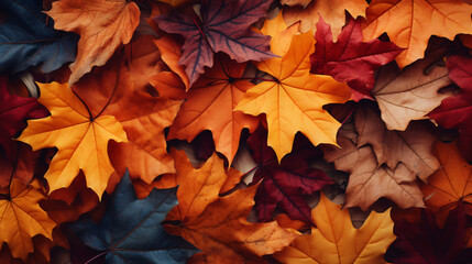 Naklejka na ściany i meble Autumn leaves natural background