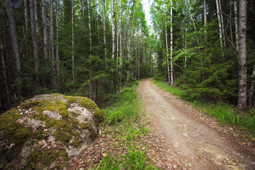 Haukkalampi Trail in Nuuksio National Park - Finland