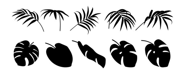 Tropical leaf collection. Jungle flora. Exotic nature. Palm branch cutout. Leaves figure. Botanical set. Black silhouette. Floral element. Isolated on white background. Vector illustration