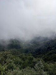 Tenerife, Iles canaries, Espagne