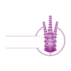 Lavender Logo, Purple Plant Vector, Garden Design, Illustration Symbol Template