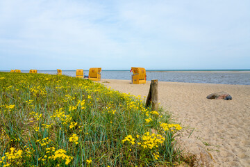 View of the coast at Gollwitzer Strand. Natural beach near Gollwitz in the nature reserve on the...