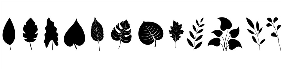Leaves icon vector. Plants illustration sign collection. Trees symbol or logo.