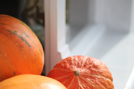Pumpkins and old window