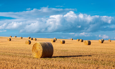 Harvesting Straw Bales in Field Landscape under Blue Sky with stormy clouds in Summer - 632927243