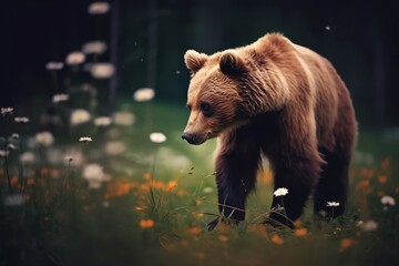 Fototapeta na wymiar a bear walking in a field of flowers