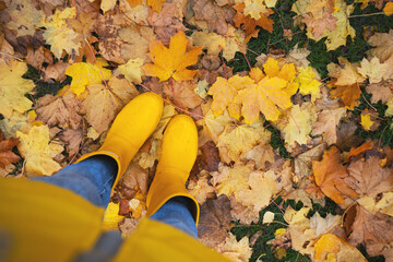 bright autumn. girl in yellow rubber boots walking