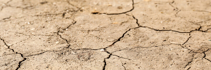 Dry cracked ground as background, closeup. Banner design