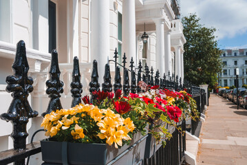 Flower pots hanging on railing of luxurious property in Pembridge Gardens. Residential house by...