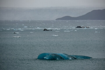 Cruise to Hubbard Glacier Bay in Alaska with floating ice bergs and drift ice floes on ocean water...