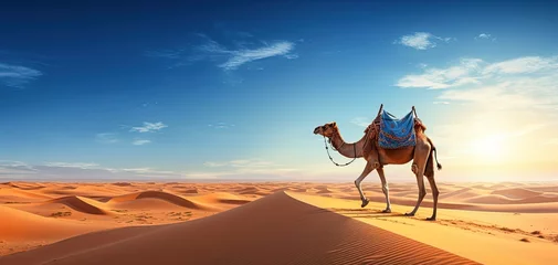 Foto op Plexiglas one camel walking in desert with bag and package on it's bag, Generative Ai © QuietWord