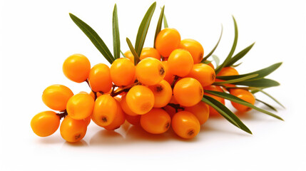 Sea buckthorn isolated on a white background.