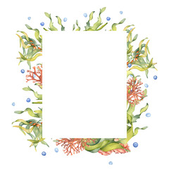 Frame of green sea plant watercolor illustration isolated on white background. Laminaria, brown kelp, red seaweed hand drawn. Design element for package, label, signboard, template, marine collection