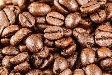 Delicious Roasted Coffee Beans with copy space