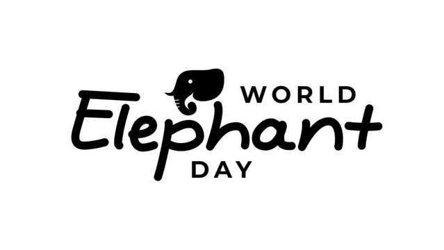 World elephant day text animation in black color on white and green screen background. It is suitable for greeting cards and world elephant day celebrations