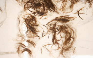 Brown hair lies on white floor. Hair restoration and care concept