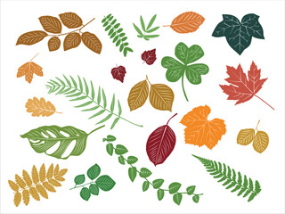big set of leaves and branches in vector. silhouette