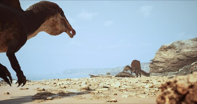 Spinosaurus dinosaurus hunts. A dinosaur in search of prey.