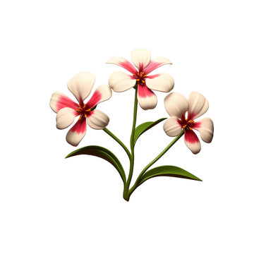 heart of flowers HD transparent background PNG Stock Photographic Image