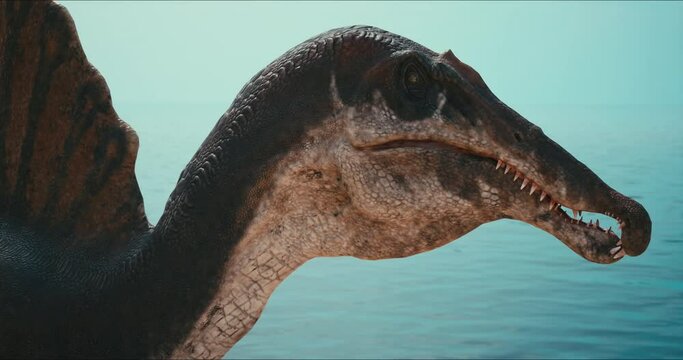 Spinosaurus dinosaurus hunts. A dinosaur in search of prey.