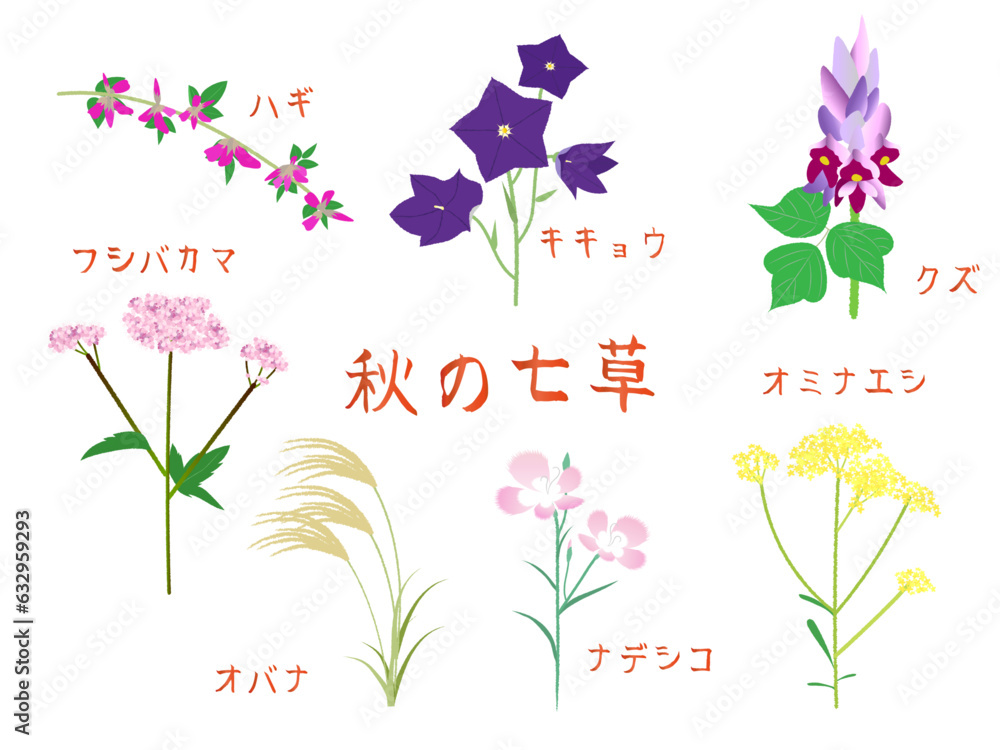 Poster 秋の七草の植物のイラストと文字入り