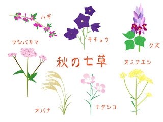 秋の七草の植物のイラストと文字入り