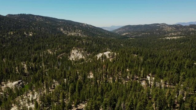 Aerial View of Sequoia National Forest near Kernsville, California