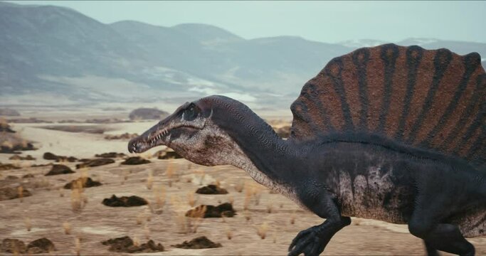 Spinosaurus dinosaurus hunts. A dinosaur in search of prey.