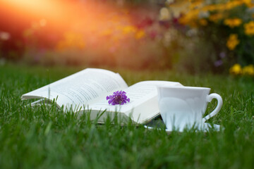 otwarta książka z kwiatem na trawie i filiżanka kawy