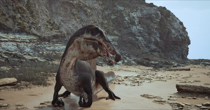 Spinosaurus dinosaurus hunts. A dinosaur in search of prey.