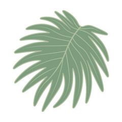 Fototapeta na wymiar Tropical Leaves Icon