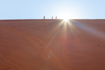 Three silhouettes of hikers in Deadvlei, Namibia, on top of a red and orange sand dune. Star pattern of the rising sun just above the crest of the dune and blue sky
