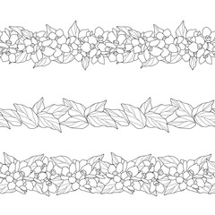 Set of three seamless border patterns with flowers and leaves. Black and white image, sketch, hand drawn vector illustration.
