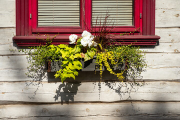 Fototapeta na wymiar Red window with flowers