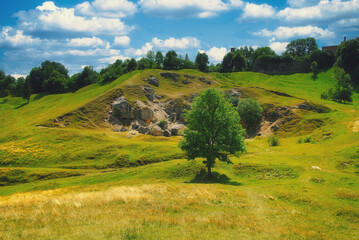 Green tree grows on a valley near the rock