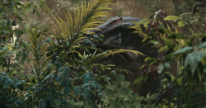 Spinosaurus dinosaurus hunts. A dinosaur in search of prey.